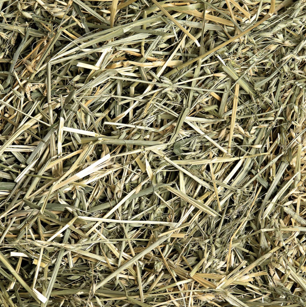 Small Pet Select Oat Hay