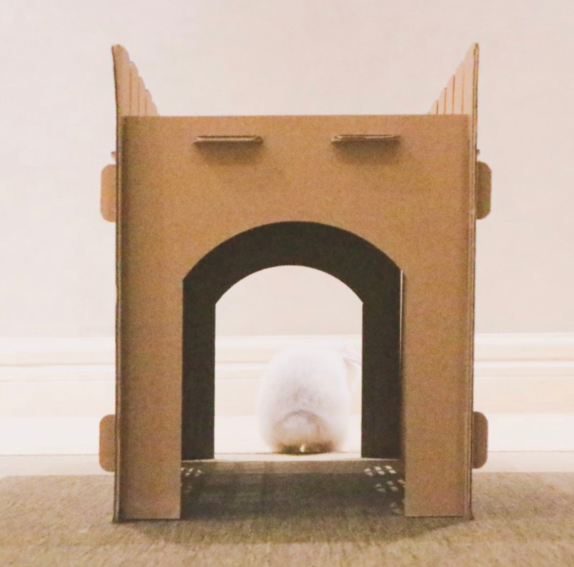 Rabbit House (Tunnel)