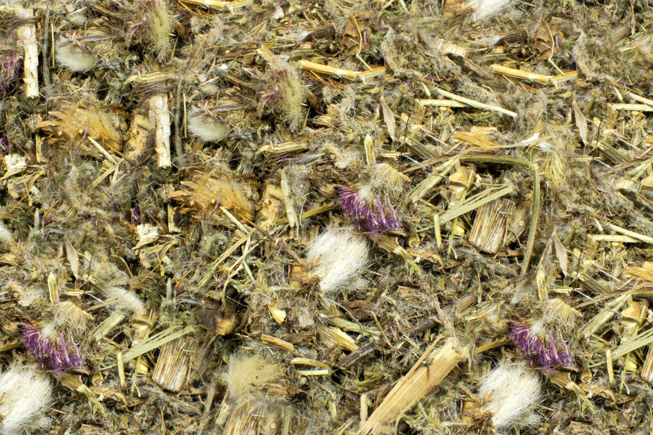 JR Farm Milk Thistle (80g)