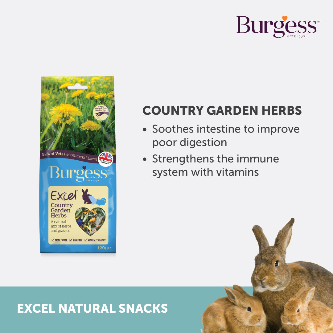 Burgess Excel Country Garden Herbs (120G)