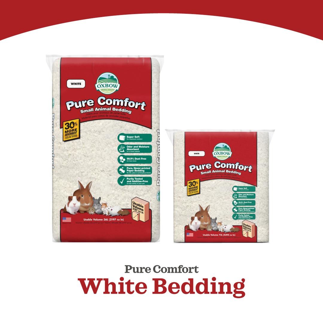 Oxbow Pure Comfort Bedding