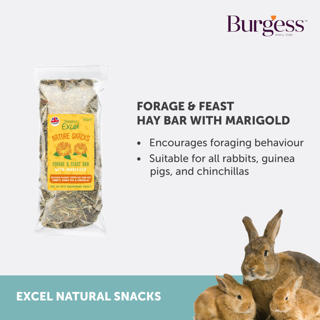 Forage & Feast Hay Bar with Marigold (60g)