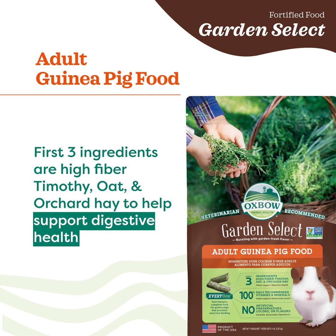 Oxbow Garden Select - Adult Guinea Pig (4lb)