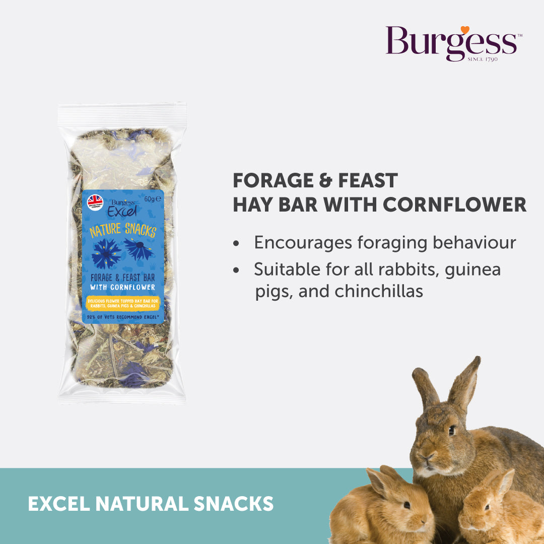 Forage & Feast Hay Bar with Cornflower (60g)