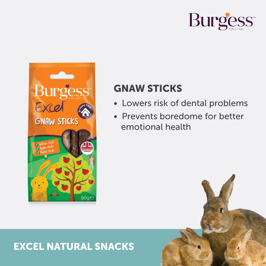 Burgess Excel Gnaw Sticks (90G)