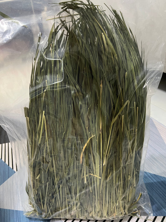 Dried Wheatgrass 500grams