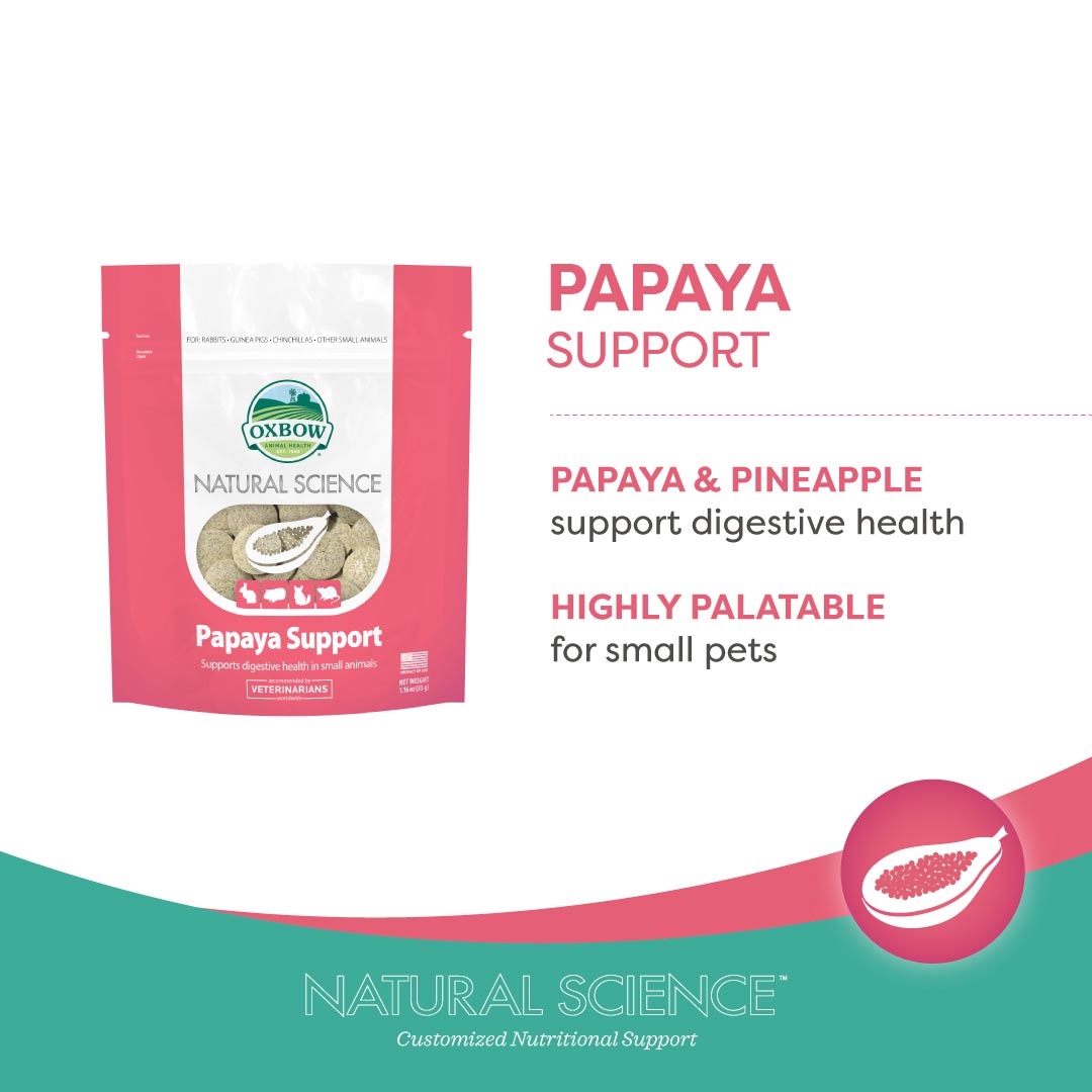 Oxbow Papaya Support 33g