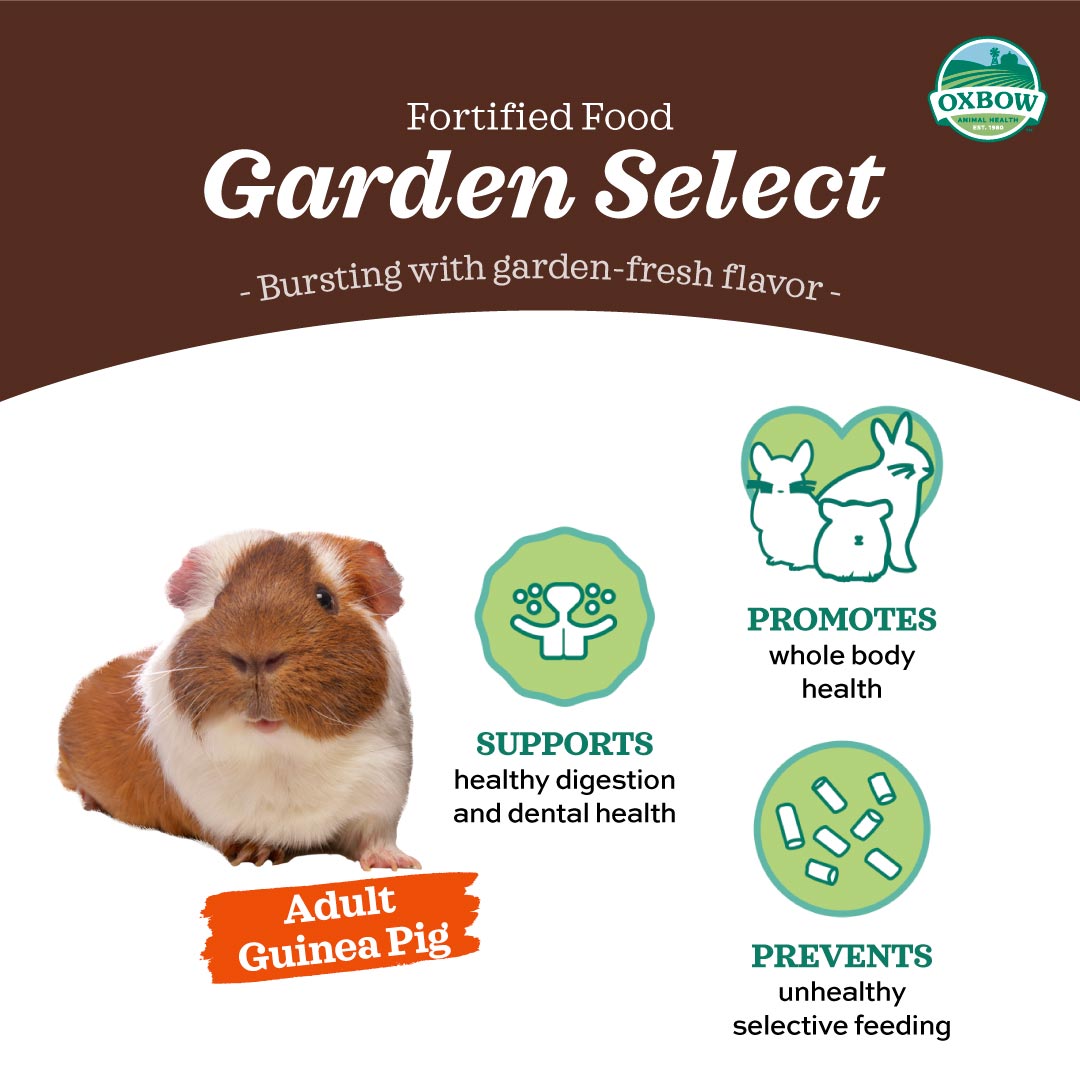 Oxbow Garden Select - Adult Guinea Pig (4lb)