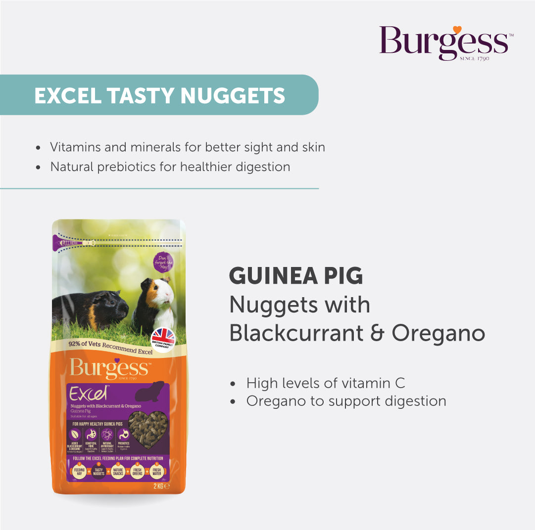 Burgess Excel Nuggets with Blackcurrant & Oregano for Adult Guinea Pigs (1.5kg)