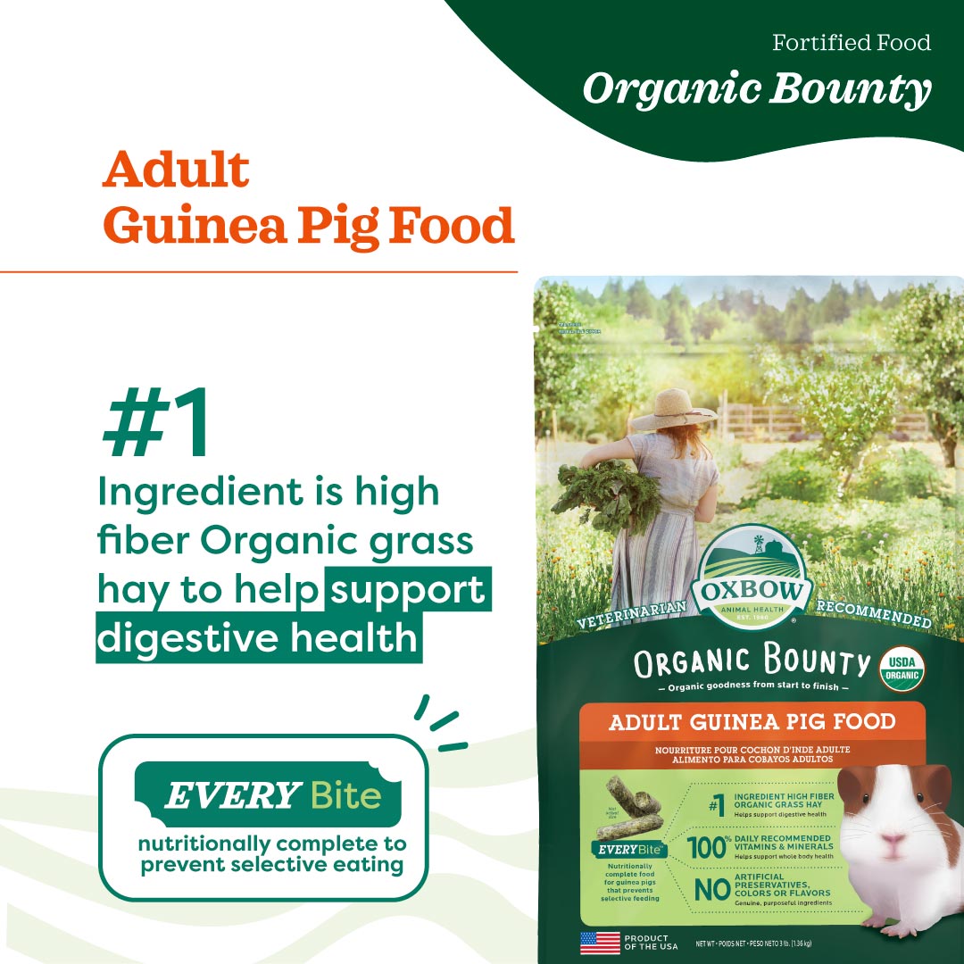 Organic Bounty – Guinea Pig (3lb)