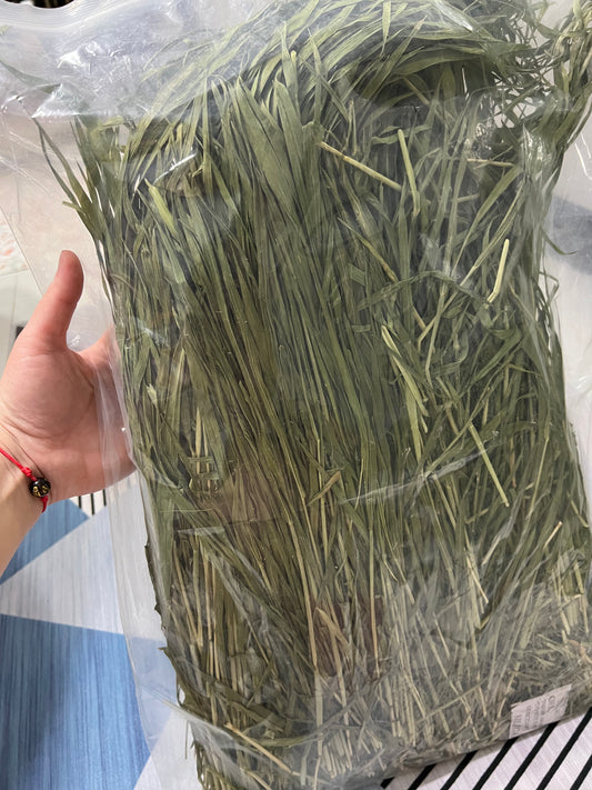 Dried Ryegrass Hay 500grams