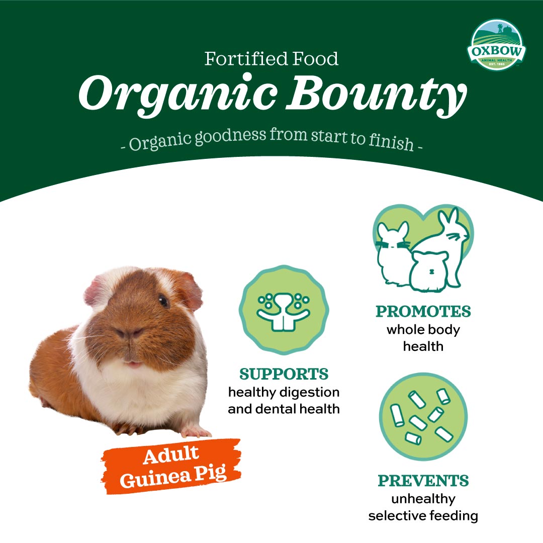 Organic Bounty – Guinea Pig (3lb)