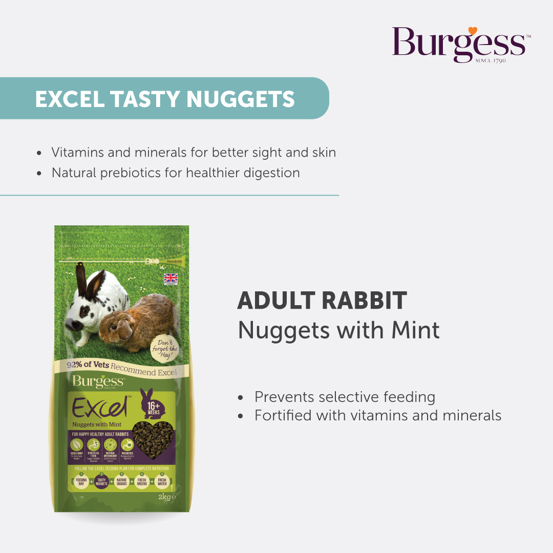 Burgess Excel Nuggets with Mint for Adult Rabbits (1.5kg)