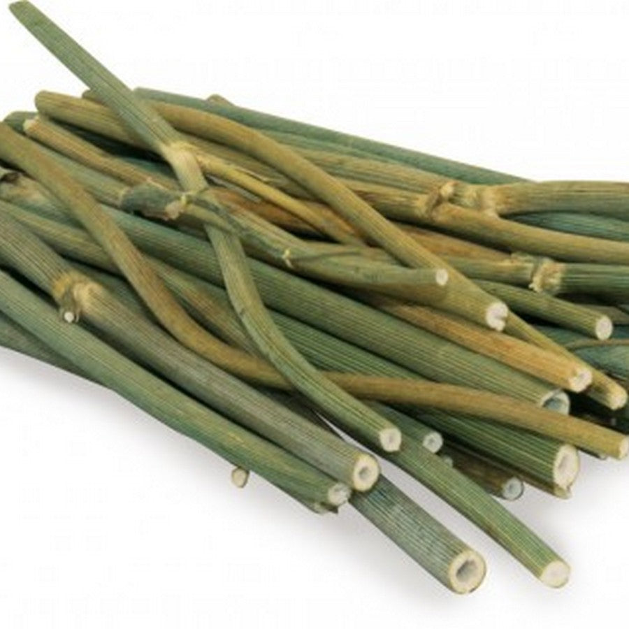 JR Farm Dill Sticks (15g)