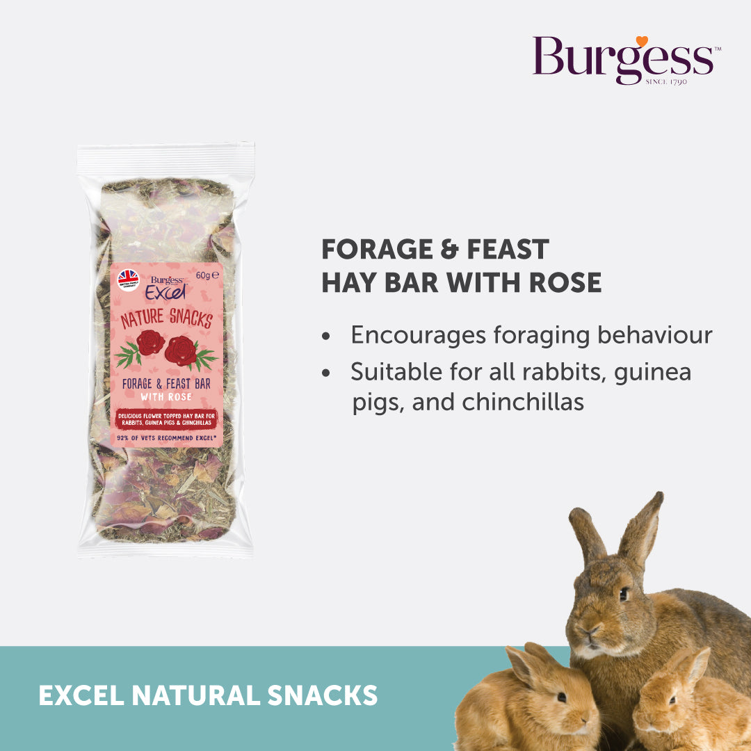 Forage & Feast Hay Bar with Rose (60g)