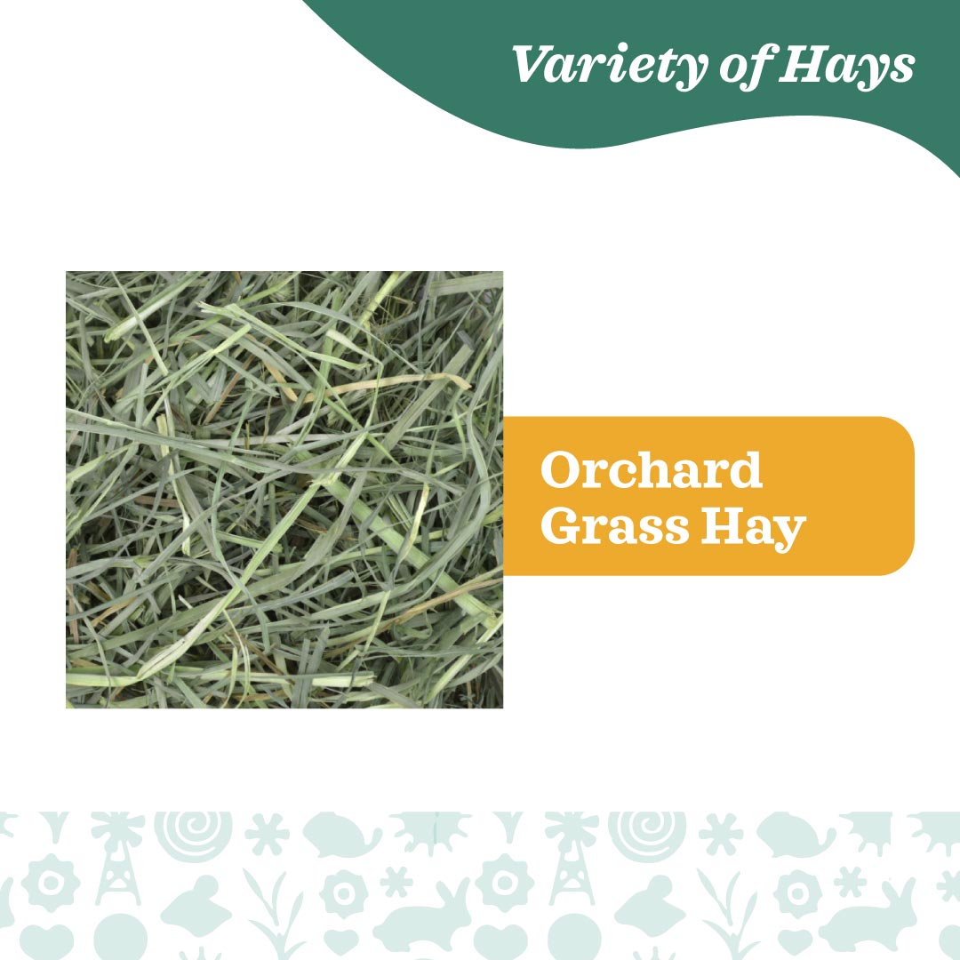 Oxbow Orchard Grass Hay (40oz)